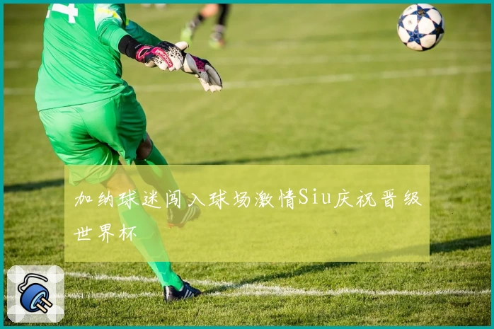 加纳球迷闯入球场激情Siu庆祝晋级世界杯